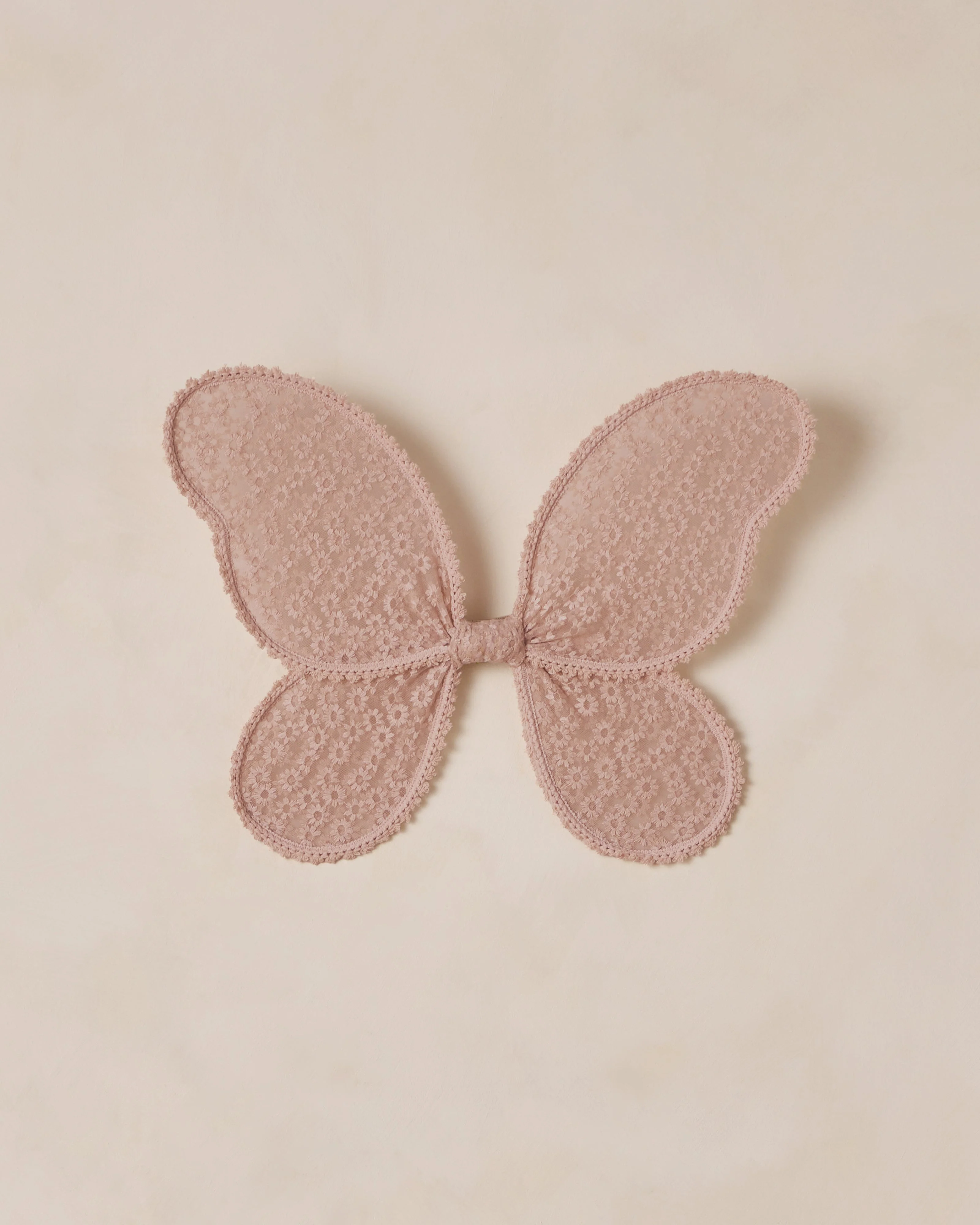 Wings | Rose Embroidered Daisy